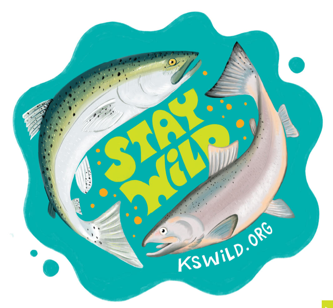 KS Wild Shirt Illustration